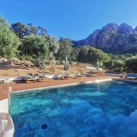 Jardin Et Piscine Les Anges Du Maquis Location Corse-du-sud * Conca