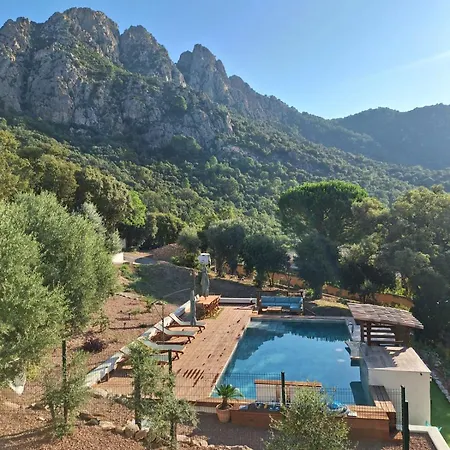Appartement Jardin Et Piscine Les Anges Du Maquis Location Corse-du-sud *