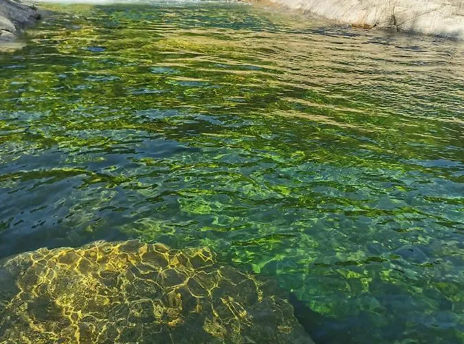 Jardin Et Piscine Les Anges Du Maquis Location Corse-du-sud Apartmán