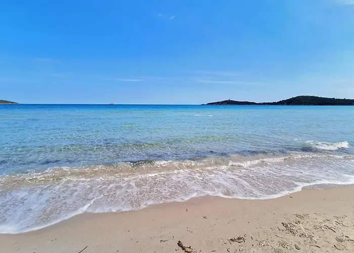 Apartmán Jardin Et Piscine Les Anges Du Maquis Location Corse-du-sud Conca