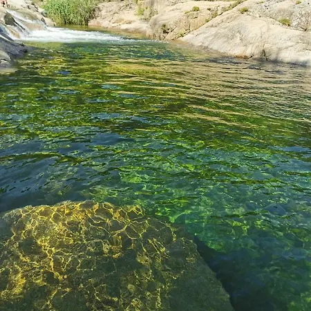 Jardin Et Piscine Les Anges Du Maquis Location Corse-du-sud アパート