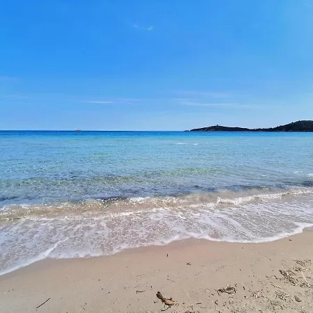 Apartamento Jardin Et Piscine Les Anges Du Maquis Location Corse-du-sud Conca