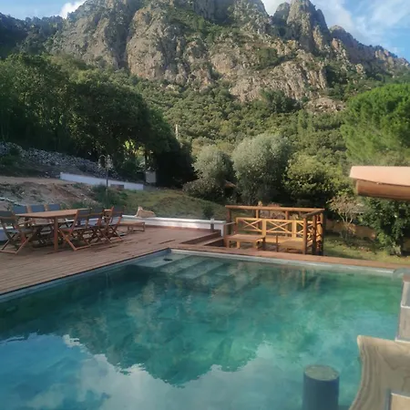 Jardin Et Piscine Les Anges Du Maquis Location Corse-du-sud *