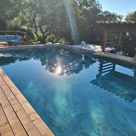 Jardin Et Piscine Les Anges Du Maquis Location Corse-du-sud Apartamento Conca