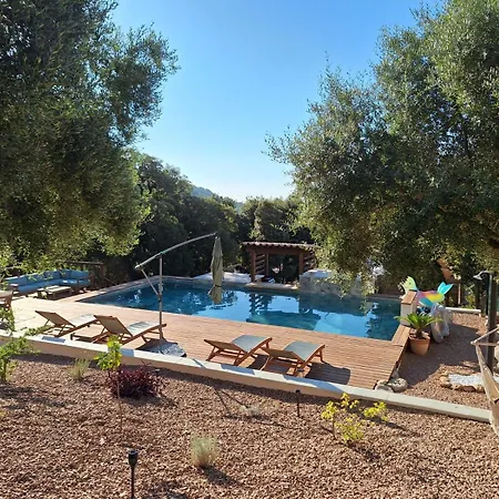 Jardin Et Piscine Les Anges Du Maquis Location Corse-du-sud Conca