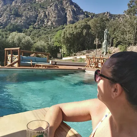 Jardin Et Piscine Les Anges Du Maquis Location Corse-du-sud Apartamento *