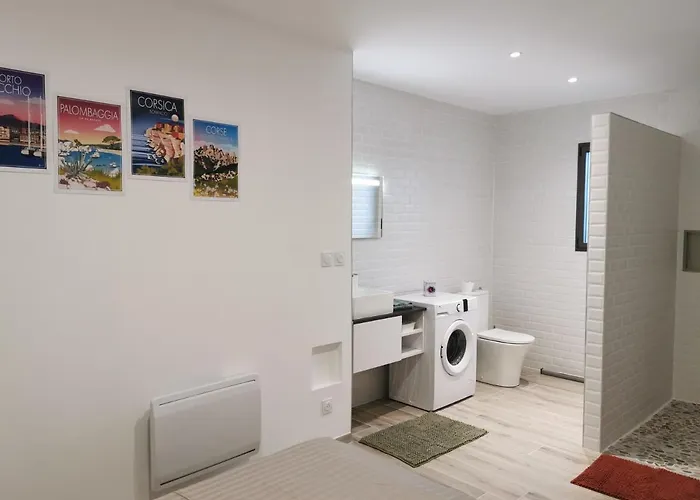 Jardin Et Piscine Les Anges Du Maquis Location Corse-du-sud