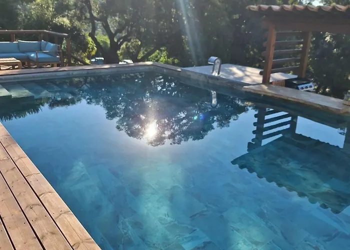 Jardin Et Piscine Les Anges Du Maquis Location Corse-du-sud Apartmán Conca