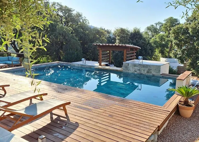 Jardin Et Piscine Les Anges Du Maquis Location Corse-du-sud Apartmán Conca